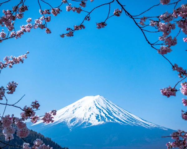 Japan Pillar